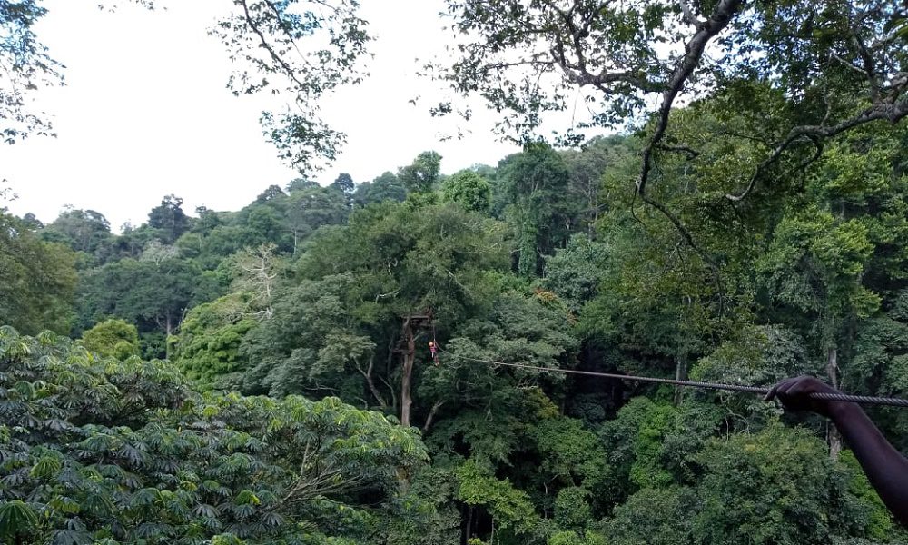 Zip Lining in Mabira Forest